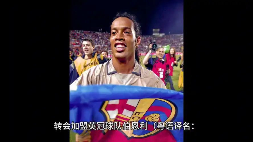 罗纳尔迪尼 罗纳尔迪尼