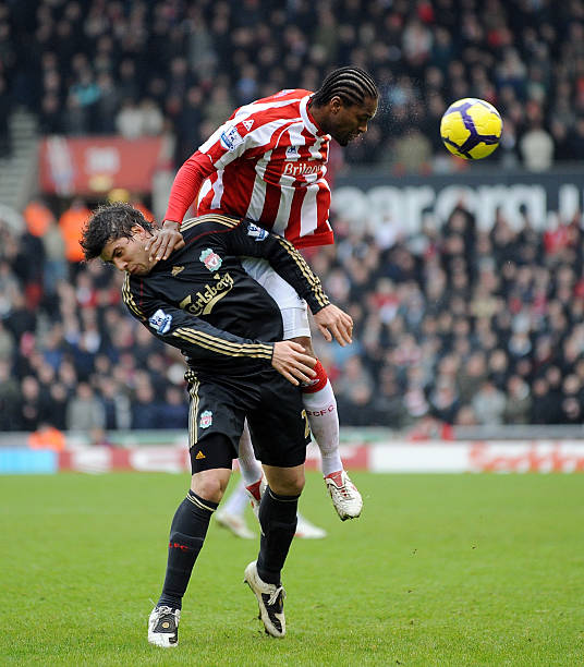 揭开灰熊本 揭开灰熊本