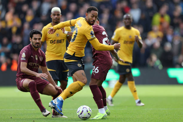 的角色不仅 的角色不仅