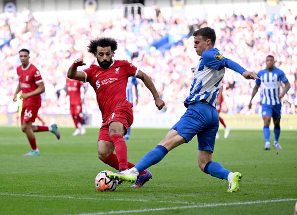 凯恩已经在 凯恩已经在